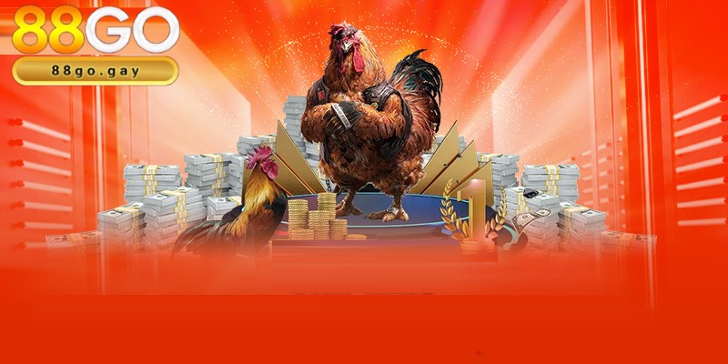 Sảnh chơi WS168 hấp dẫn chinh phục mọi thành viên